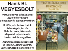 Hanik Bt. Vegyesbolt
