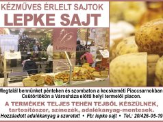 Lepke Sajt