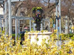 Húsvéti kút Halason