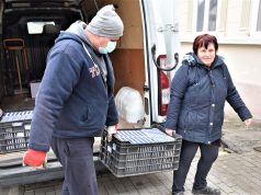 Özönlenek a felajánlások a Wojtyla Ház szegényei javára