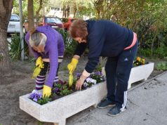 Kecskemét-2020.04.15.