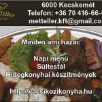 MetTeller_2018_6