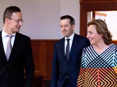 A Flisom napelem-paneleket előállító gyárat épít Kecskeméten