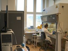 Így zajlik a laborban a munka