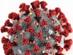 Szemereyné Pataki Klaudia: Hétvégi tapasztalatok(Facebook bejegyzés)