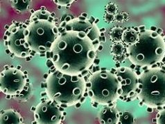 Emelkedik a fertőzöttek száma, de sikerül laposan tartani a járványgörbét 2020, április 26 – 12:57