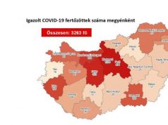 Egészségügy-járvány Koronavírus – Meghalt nyolc beteg és 3263-re emelkedett a fertőzöttek száma Magyarországon