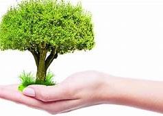 Palántákat, vetőmagot és konyhakerti eszközöket kaptak rászoruló családok az Ökumenikus Segélyszervezettől