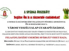 A Gondoskodó Szolgálat Kecskemét mai kecskeméti Piaci akciója