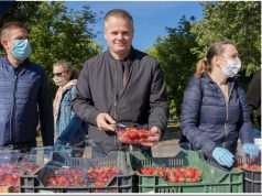 Jótékonysági Szamóca Vásár Kecskeméten