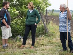Vadvirágokkal telepítik majd be a Bem utcai körforgalmi csomópontot