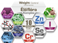 A bélflóra és az elhízás