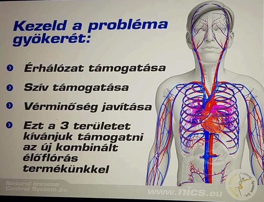 szív egészségét elősegítő program)