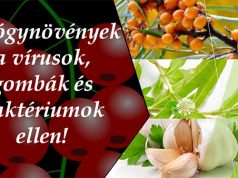 Gyógynövények a vírusok, gombák és baktériumok ellen!