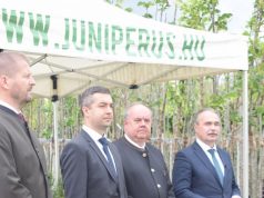 12 ezer fát osztanak szét a Településfásítási Program keretében