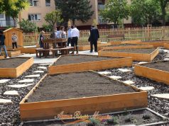 Negyvenmillió forintból épült közösségi kert a Forradalom utcán