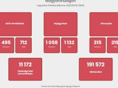 3931 főre nőtt a beazonosított fertőzöttek száma, és elhunyt 2 idős, krónikus beteg 2020, június 3 – 08:40