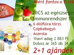 Miért fontos a C-vitamin?