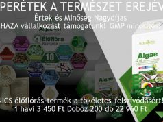 RÖVIDEN AZ ALGÁRÓL! NYÁRI AKCIÓNK: 2+1 ajándék!