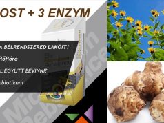 TÁPLÁLD A BÉLRENDSZERED LAKÓIT!