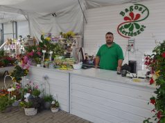 Citromfától a ribizlibokron át a fűszernövényekig