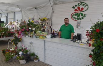 Citromfától a ribizlibokron át a fűszernövényekig