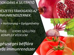 A NICS élőflórás terméke a GREEN & RED