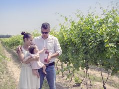 A megye feltörekvő borásza lett Csanádi Bálint