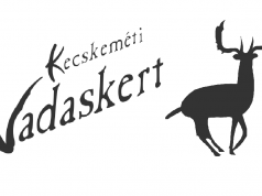 NYÁRI ESTE A KECSKEMÉTI VADASKERTBEN