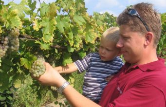 A bor minősége a pohárban dől el