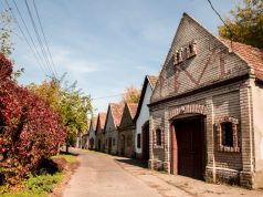 Sváb Borok Napja Császártöltésen – Díjnyertes nedűket is kóstolhatnak a vendégek