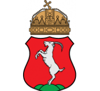 TESZTÜZEMMEL INDUL AZ ÚJ KECSKEMET.HU
