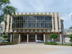 Állati jó programokkal várják a családokat október első hétvégéjén a Hírös Agórában!