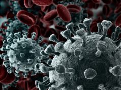 750 fővel emelkedett a beazonosított fertőzöttek száma és elhunyt 7 idős, krónikus beteg