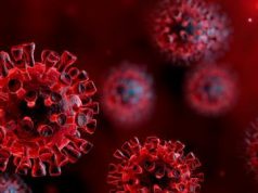 Szemereyné Pataki Klaudia polgármester közleménye