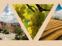 A KISKUNSÁG KINCSEI