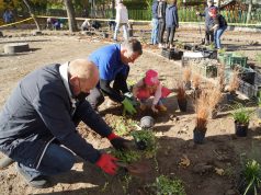 Széleskörű összefogással zárta a Kecskeméti Szent László Lions Club az Érzékelések kertje első ütemét.