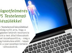 Egészségtudatos munkahelyekért