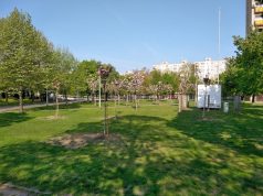 Széles összefogású önkéntes munkával befejeződhet az „Érzékelések kertje” első üteme