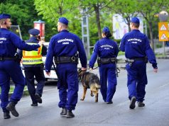 HATÁRRENDÉSZETI ÖSSZESÍTŐ BÁCS-KISKUN MEGYÉBŐL
