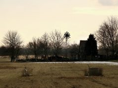 Mától lehet igényelni a 3 millió forintos tanyafejlesztési támogatást