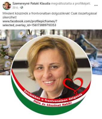 Online társadalmi összefogás