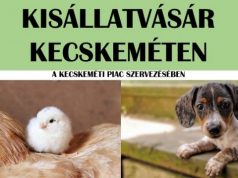 Kisállatvásár plakát – Kecskeméti Piac