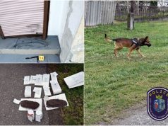 JOKER KUTYA VEZETETT A RABLÓHOZ
