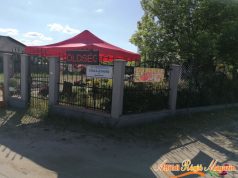 Farkasné Szabó Márti szeretettel vár minden kedves vásárlót Felsőszéktón, a Csalánosi úton (Auchan és Hetényi körforgó közötti úton, friss idei zöldségekkel, gyümölcsökkel, megszokott, kiváló minőségben, illetve gyönyörű egynyári növényekkel.