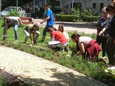 Színpompás egynyári virágokkal gazdagodott az Érzékelések kertje