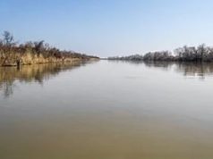 Görögország is kerítéssel állítja meg az illegális migránsokat