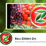 Bács-Zöldért Zrt.