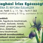 IriszEgeszsegtar_2015_nyar