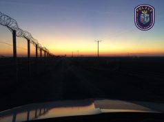 Két embercsempészt fogtak a rendőrök Bács-Kiskun megyében